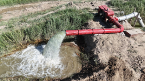 До 30% вклада в ВВП сельского хозяйства позволили обеспечить объемы поданной аграриям поливной воды