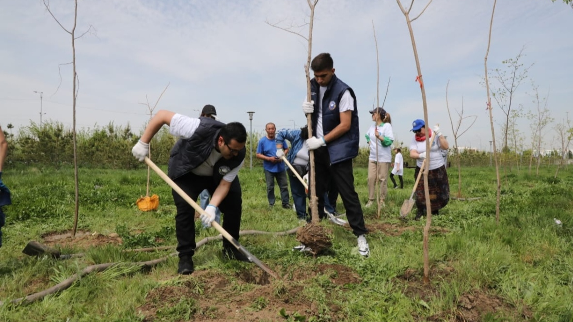 Высажено 1,5 млрд сеянцев: как в Казахстане восстанавливают леса и борются с опустыниванием