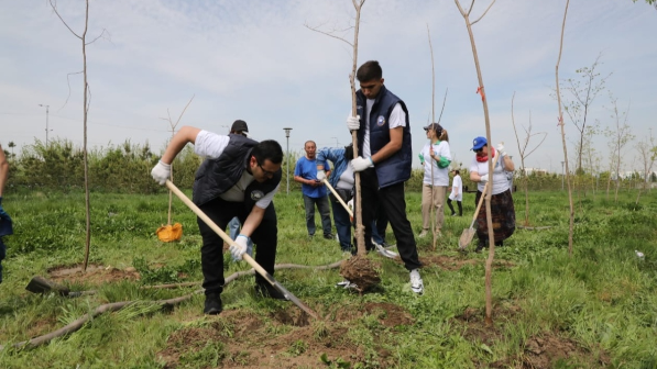Высажено 1,5 млрд сеянцев: как в Казахстане восстанавливают леса и борются с опустыниванием