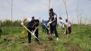 Высажено 1,5 млрд сеянцев: как в Казахстане восстанавливают леса и борются с опустыниванием