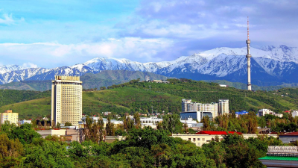 Эксперты и лидеры мнений – о главных изменениях Алматы в 2025 году