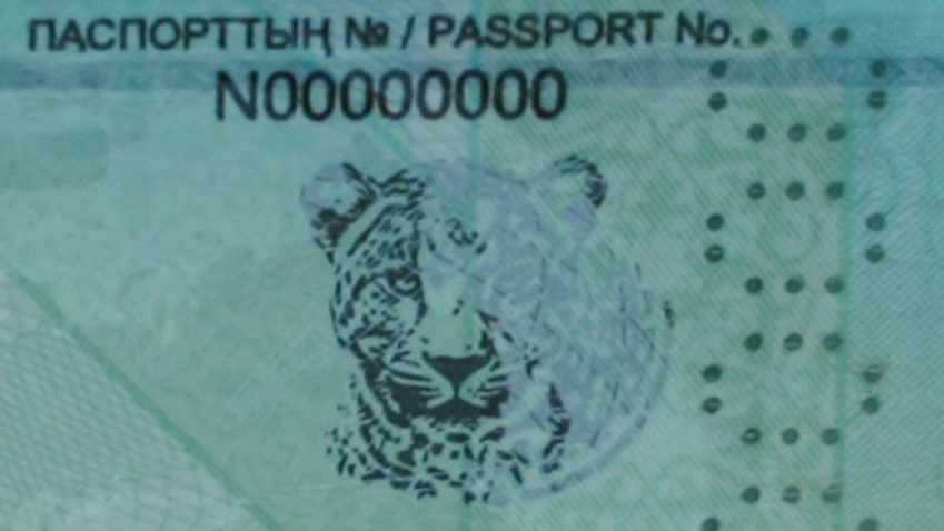 "Сила паспорта": визитная карточка Казахстана укрепила свои позиции в 2025 году