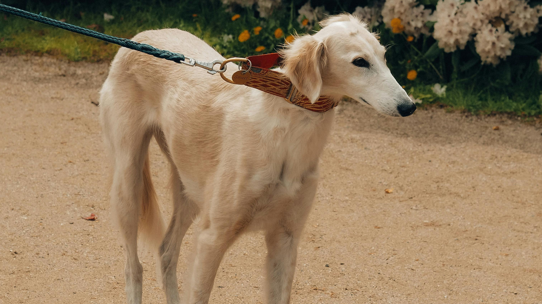 В Алматы представили научные разработки Института генетики и физиологии