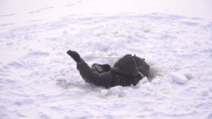 ДЧС Алматы призывает горожан не выходить на тонкий лед