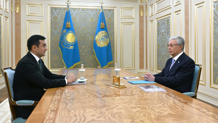 Глава государства принял председателя правления АО «Национальный инвестиционный холдинг «Байтерек» Рустама Карагойшина