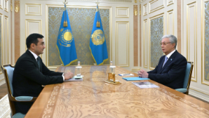 Глава государства принял председателя правления АО «Национальный инвестиционный холдинг «Байтерек» Рустама Карагойшина