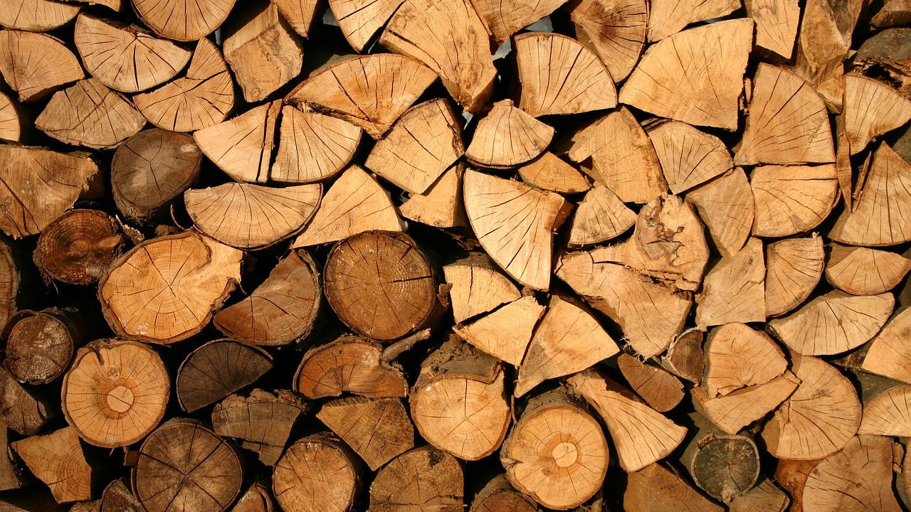 В Казахстане запускается система маркирования древесины