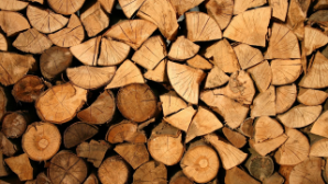 В Казахстане запускается система маркирования древесины