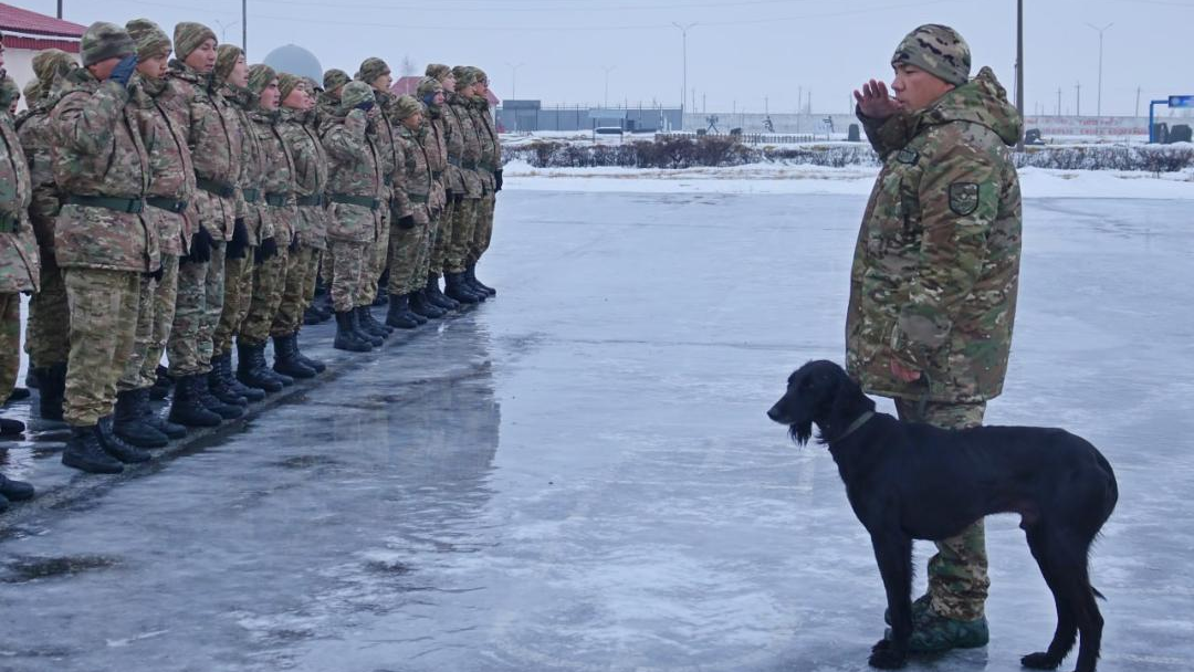 Четвероногий «солдат» служит в войсковой части Вооруженных сил