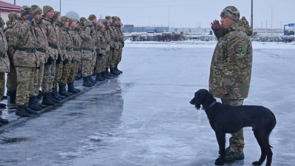Четвероногий «солдат» служит в войсковой части Вооруженных сил