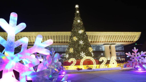 Аким Алматы Дархан Сатыбалды поздравил жителей города с Новым годом