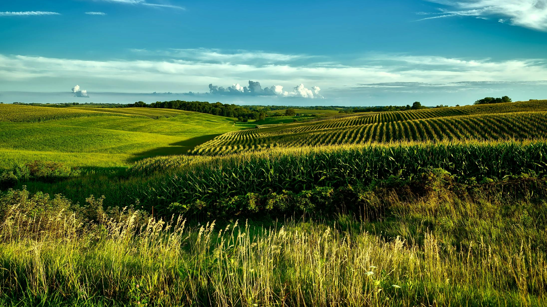2,1 млн га неиспользуемых земель досрочно возвращены в государственную собственность