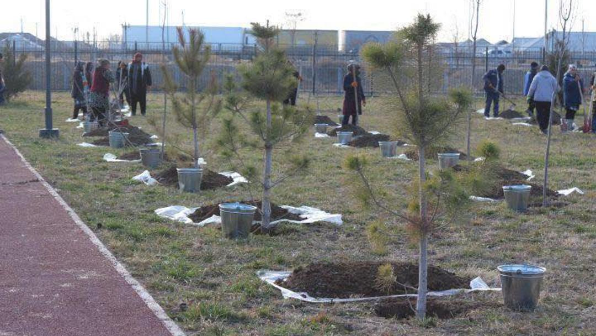 В Туркестанской области расширяют масштабы работ в рамках программы «Таза Қазақстан»