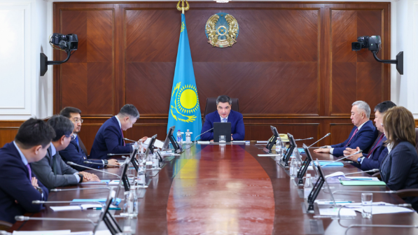 Олжас Бектенов поручил пересмотреть субсидирование частных школ и медорганизаций