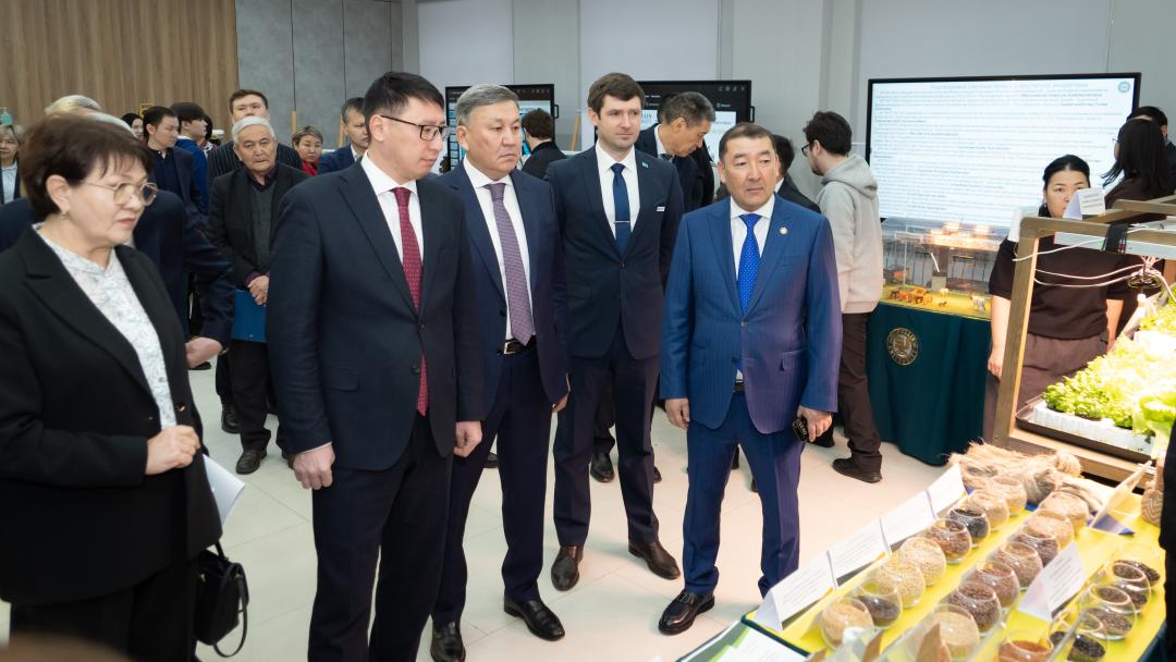 Более 60 тысяч тонн семян высшей категории произвел НАНОЦ в 2025 году