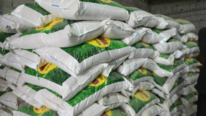 Цех по переработке риса запустили в Туркестанской области