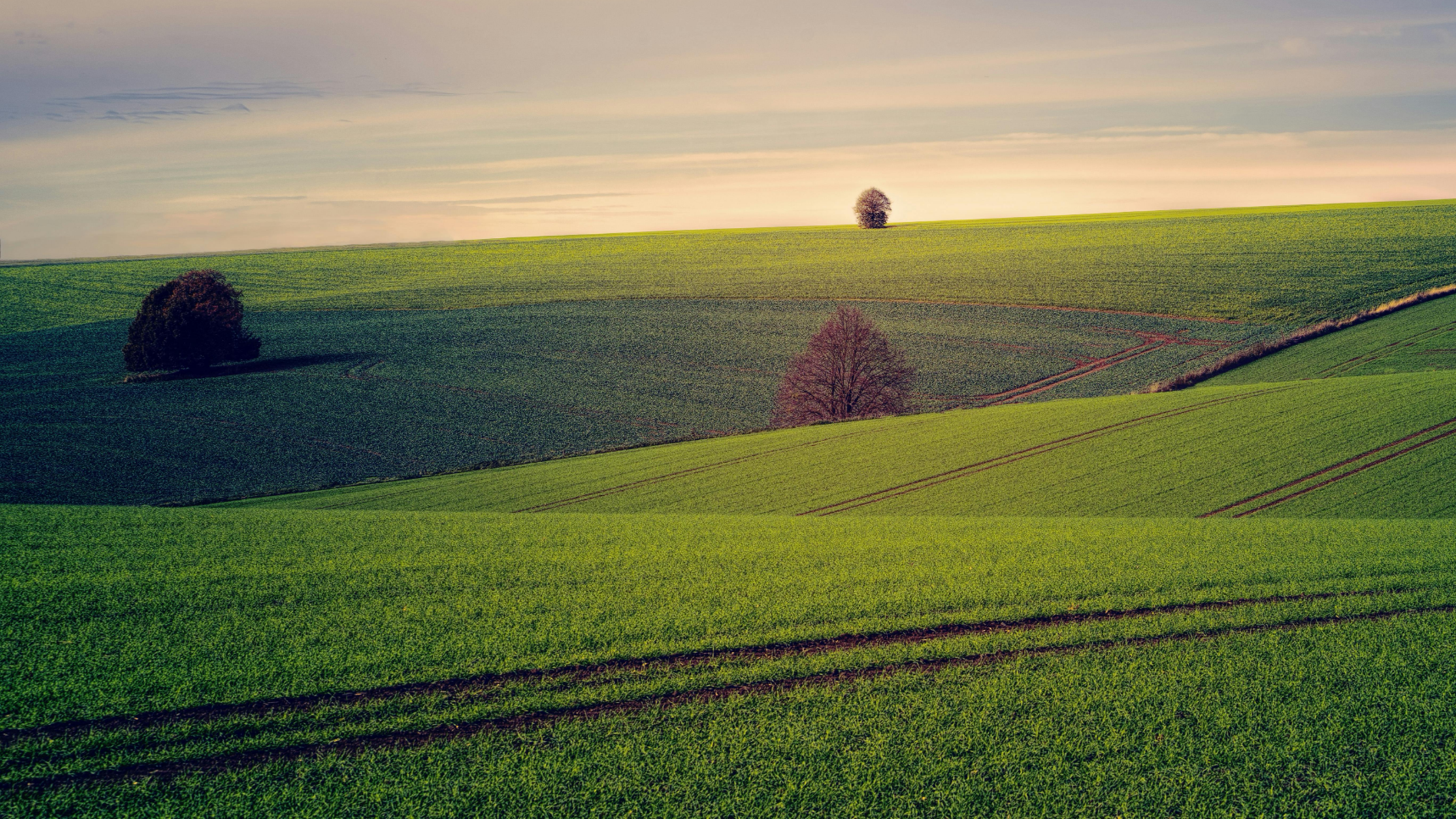 В области Жетісу вернули в госсобственность земли, прилегающие к «Парку ветеранов»