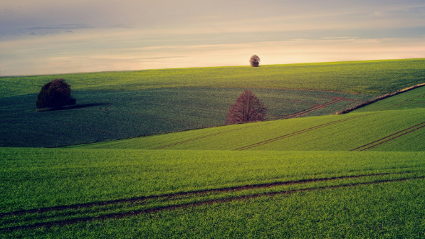 В области Жетісу вернули в госсобственность земли, прилегающие к «Парку ветеранов»