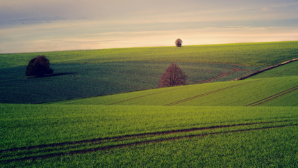 В области Жетісу вернули в госсобственность земли, прилегающие к «Парку ветеранов»