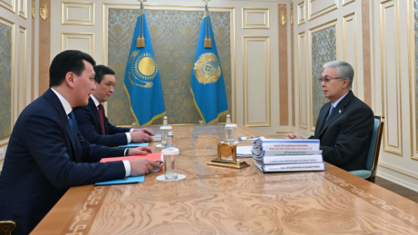 Глава государства ознакомился с поступающими предложениями по конституционной реформе