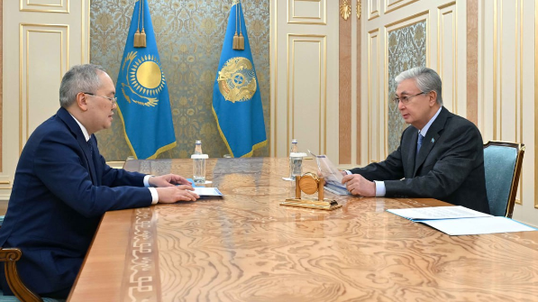 Касым-Жомарт Токаев принял председателя Агентства по финансовому мониторингу Жаната Элиманова
