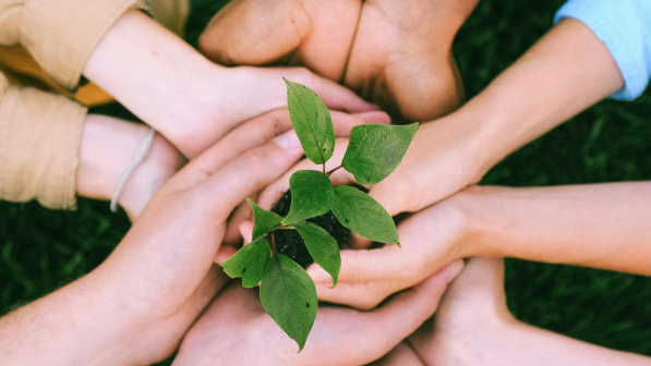 Более 300 тысяч человек вовлечены в волонтерскую деятельность в Казахстане