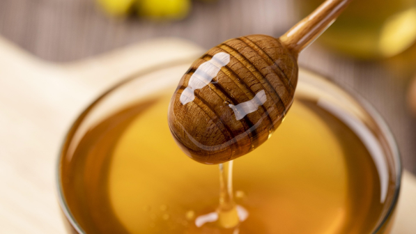 Незаконный транзит меда пресечен в Жамбылской области