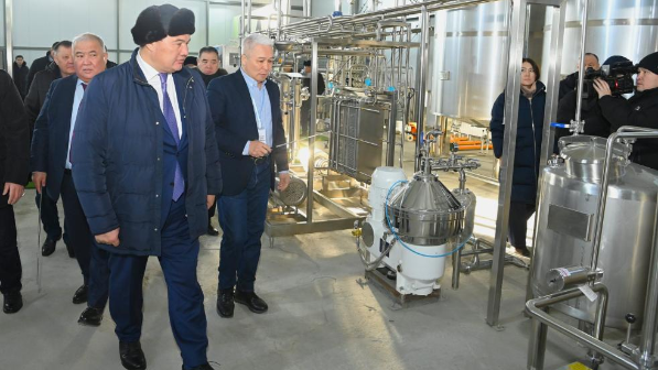 Завод по производству сухого порошка из верблюжьего молока строят в Кызылординской области