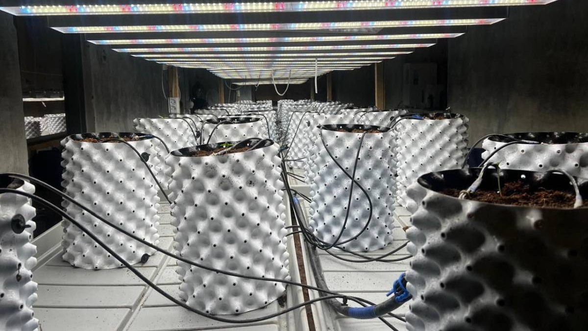 Фитолабораторию с дорогостоящим оборудованием ликвидировали наркоборцы в Акмолинской области