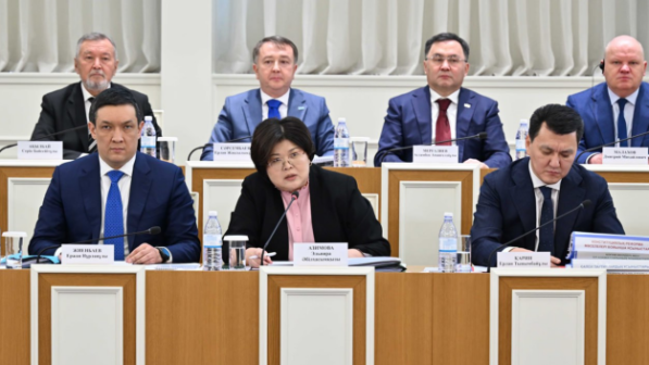 Ержан Жиенбаев остановился на конституционных изменениях, касающихся полномочий Вице-президента