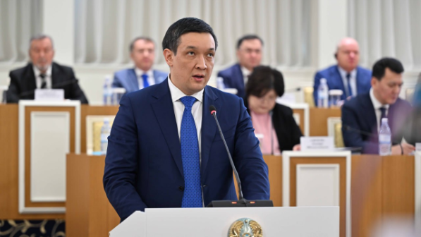 Ержан Жиенбаев: «Народный Совет станет высшим консультативным органом, представляющим интересы народа»