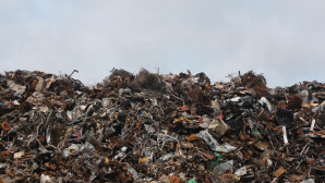 В рамках акции «Таза Қазақстан» полиция выявила около 4 тысяч стихийных свалок по стране 