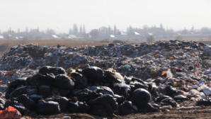 54 млн тенге штрафа: в Астане наказали компанию за завышение цен на услуги ТБО