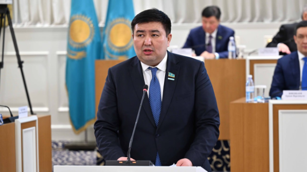 Елнур Бейсенбаев: Конституционная реформа повысит институциональную роль политических партий