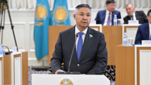 Азат Перуашев: Конституционная реформа – это глубокая перезагрузка всей политической системы