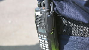 В Шымкенте пресечена деятельность наркосбытчиков