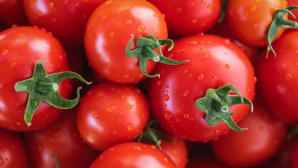 В Туркестанской области в январе созрели помидоры