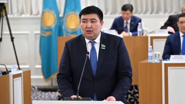 Следуй мы европейскому опыту, в Курултае было бы 500-600 депутатов. Мы осознанно выбрали другой путь – Елнур Бейсенбаев