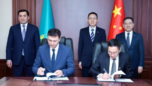 Крупнейшая ВЭС с системами накопления энергии появится в Павлодарской области