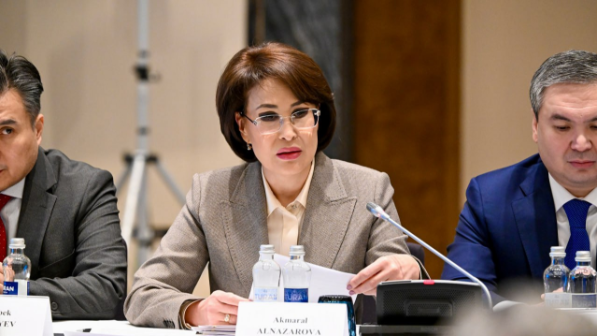 Концепция «Дети Казахстана»: в Астане начато внедрение системы мониторинга детского развития