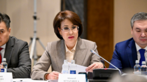 Концепция «Дети Казахстана»: в Астане начато внедрение системы мониторинга детского развития