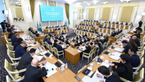 За что казахстанцев могут лишить гражданства — что отражено в проекте новой Конституции