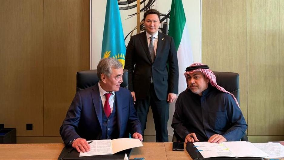 Кувейт заинтересован в поставках мясной продукции из Казахстана