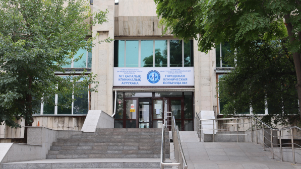 В Алматы создадут Центры компетенций по аллергологии и пульмонологии