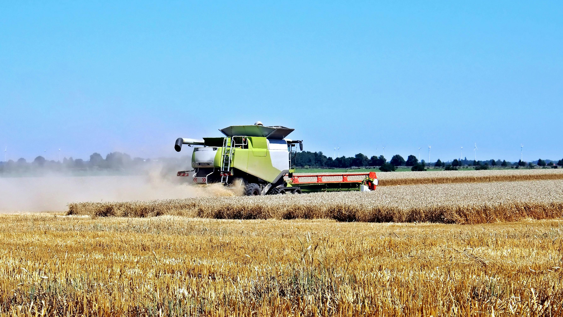 В области Жетісу посевные площади составят порядка 512 тыс. га