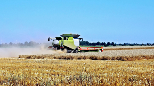 В области Жетісу посевные площади составят порядка 512 тыс. га