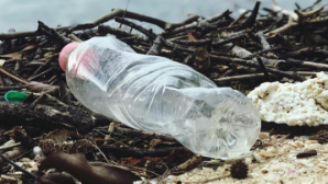 В Казахстане в рамках акции «Таза Қазақстан» выявлено более 75 тысяч экологических правонарушений