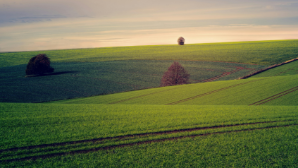 В Жамбылской области земли сельхозназначения возвращены в государственную собственность