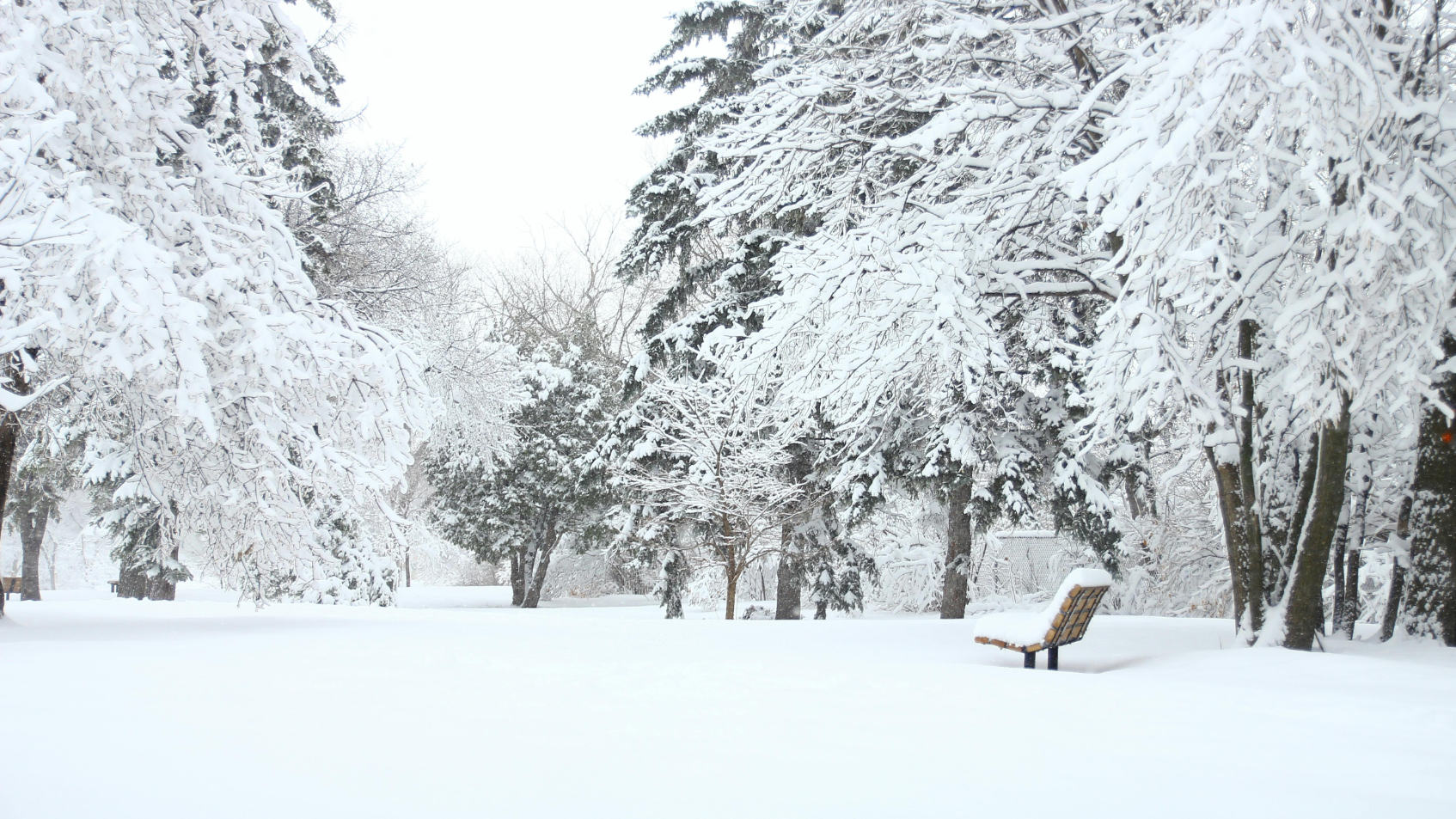Учащиеся 0-9-х классов перешли на дистанционку из-за непогоды в Астане