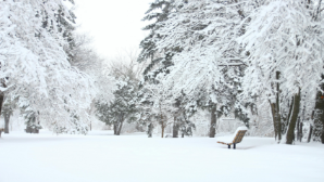 Учащиеся 0-9-х классов перешли на дистанционку из-за непогоды в Астане